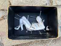 Mykonos Biennale 2015 - Film Festival - Melina Kremezi Antidote Box