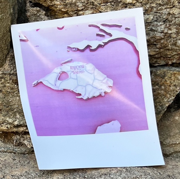 Mykonos Biennale  -  Antidote Box - screen shot