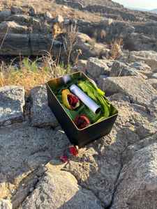 Mykonos Biennale 2015 - Film Festival - Faidra Karantzou Antidote Box