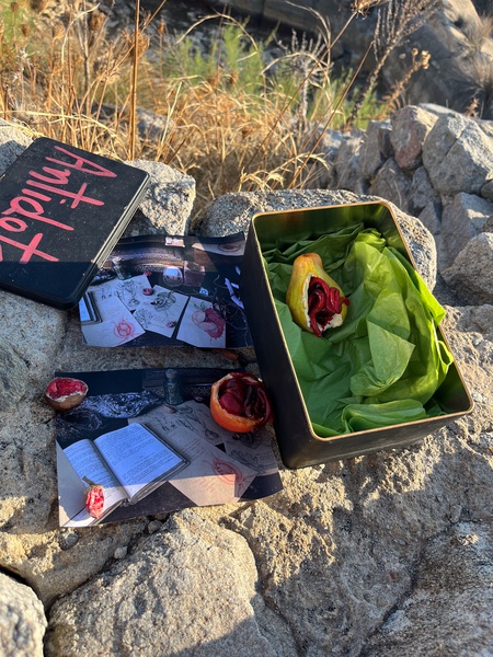 Mykonos Biennale  -  Antidote Box - screen shot
