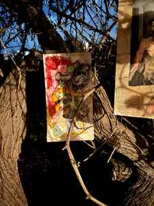Mykonos Biennale 2015 - Film Festival - Melina Kremezi Together (2023) & Narcissus (2022)