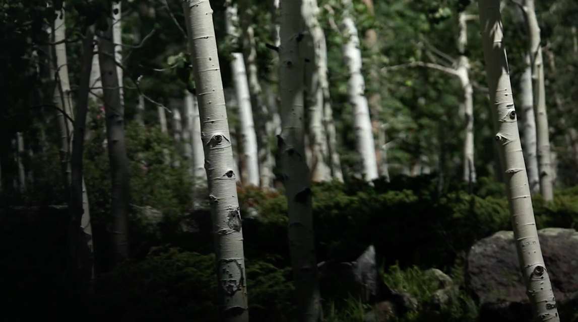 Mykonos Biennale 2015 - Film Festival -  The Trembling Giant - screen shot