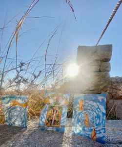 Mykonos Biennale 2015 - Film Festival - Anna Robbins Antidote Box