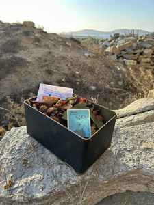 Mykonos Biennale 2015 - Film Festival - Panayiotis Lamprou Antidote Box