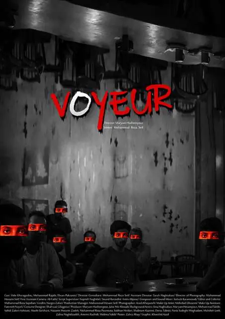 Mykonos Biennale 2015 - Film Festival - Voyeur-4 - screen shot