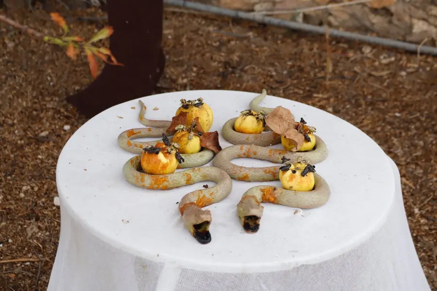 Mykonos Biennale  -  Flying Snakes - screen shot