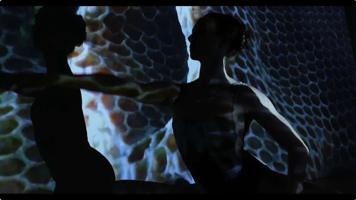 Mykonos Biennale 2015 - Film Festival - Wild Hive 4 - screen shot
