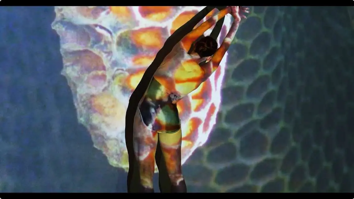 Mykonos Biennale 2015 - Film Festival - Wild Hive 8 - screen shot