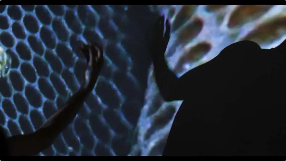 Mykonos Biennale 2015 - Film Festival - Wild Hive 3 - screen shot